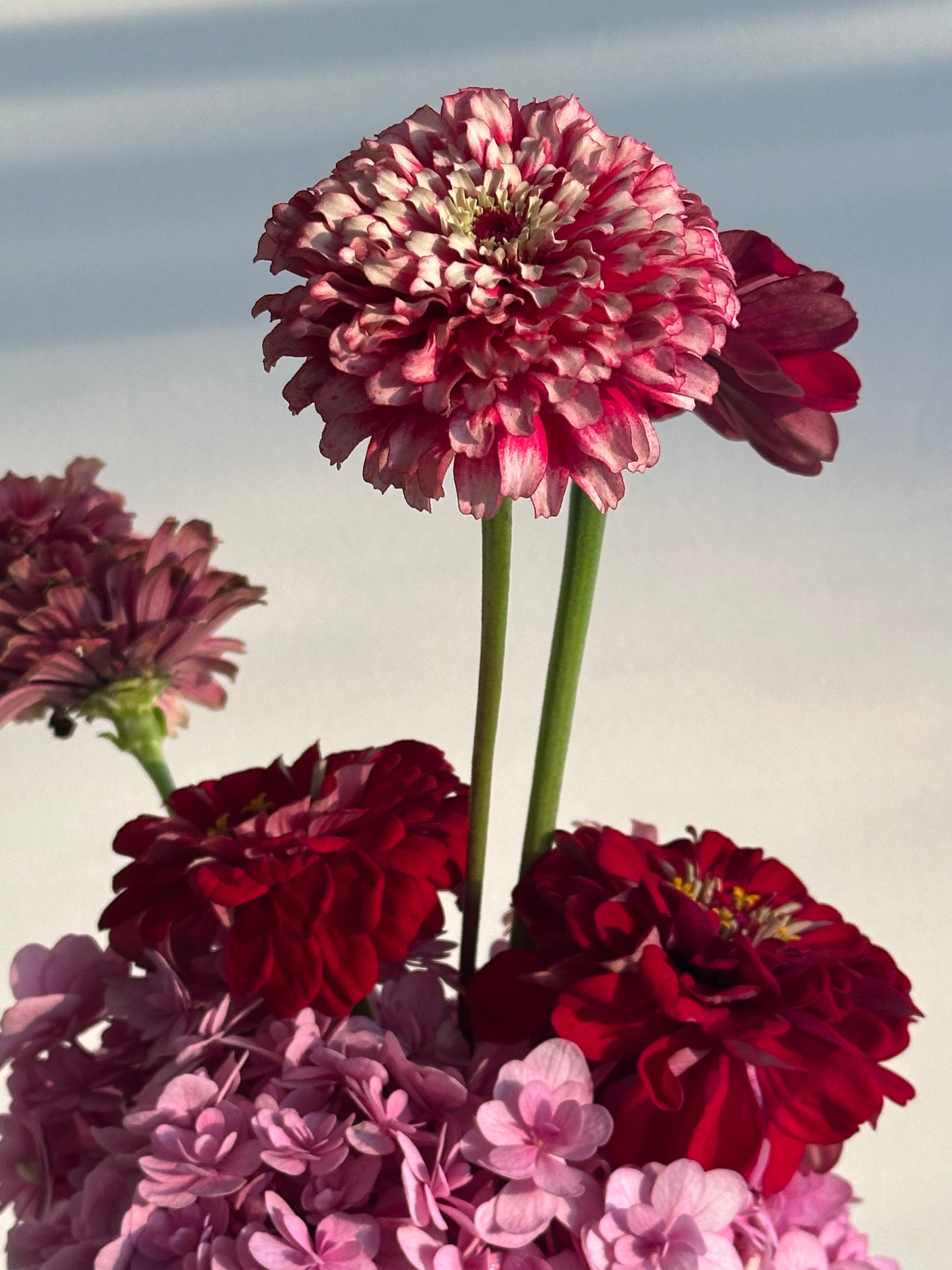 valentines day,  cupids kiss, mini bud vases, a pretty florals