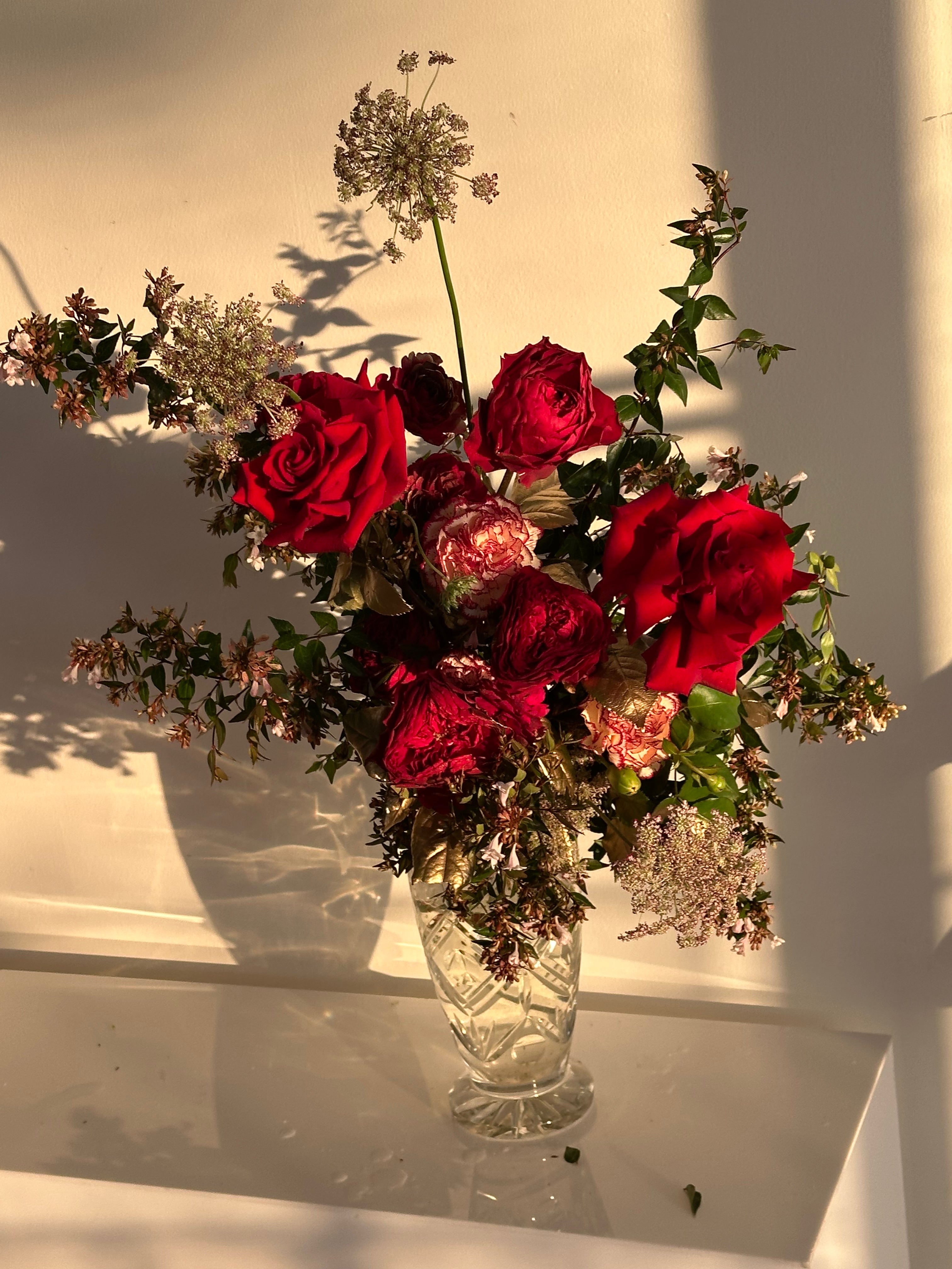 6 roses, valentines day, Ruby red, 